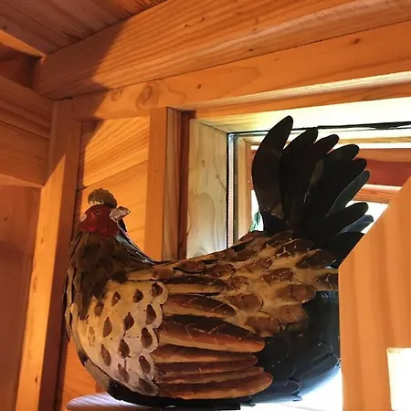 Bed & Breakfast La Dans Les Arbres Saint-Jean-dʼAulps