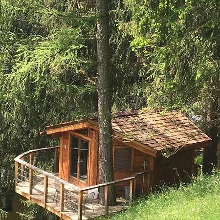 Bed & Breakfast La Dans Les Arbres