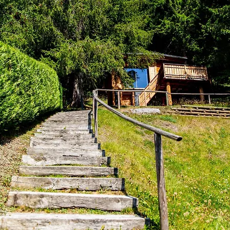 La Dans Les Arbres Bed & Breakfast
