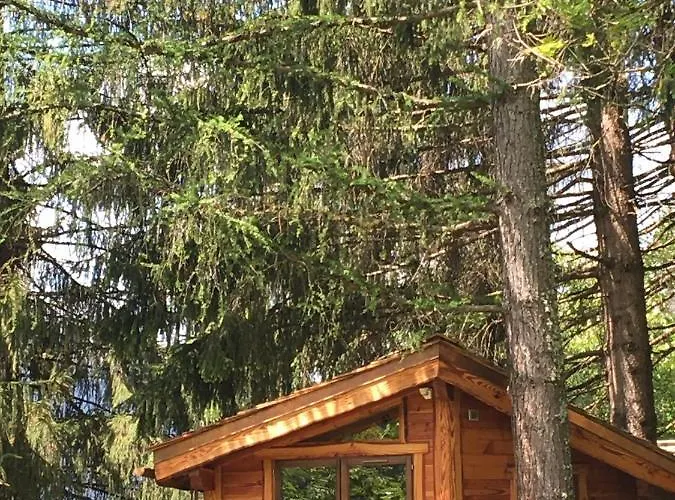 Bed & Breakfast La Dans Les Arbres
