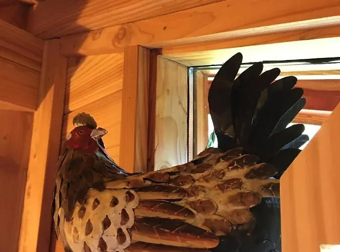Bed & Breakfast La Dans Les Arbres Saint-Jean-dʼAulps