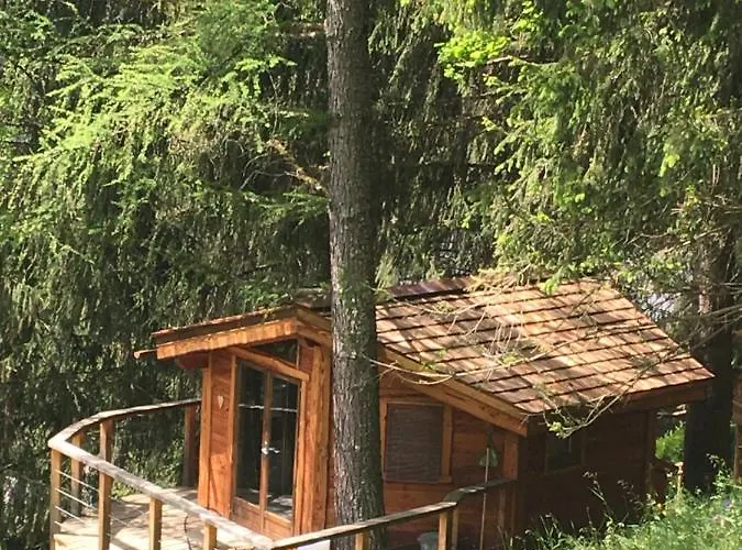 Bed & Breakfast La Dans Les Arbres