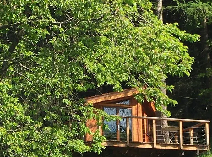 La Dans Les Arbres Bed & Breakfast