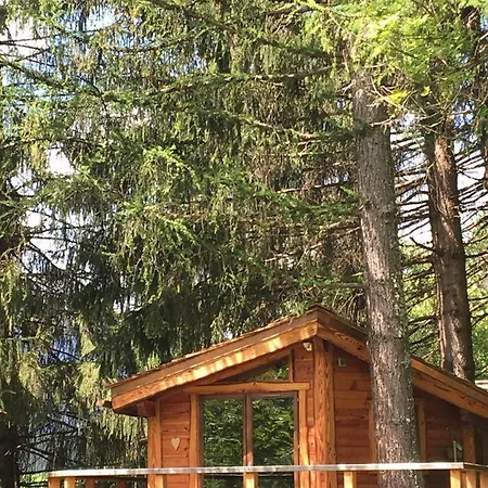 Bed & Breakfast La Dans Les Arbres
