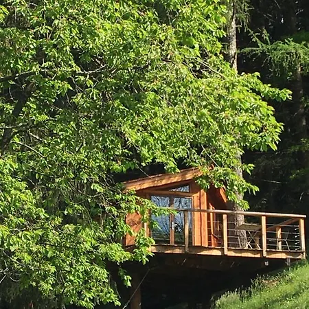 La Dans Les Arbres Bed & Breakfast